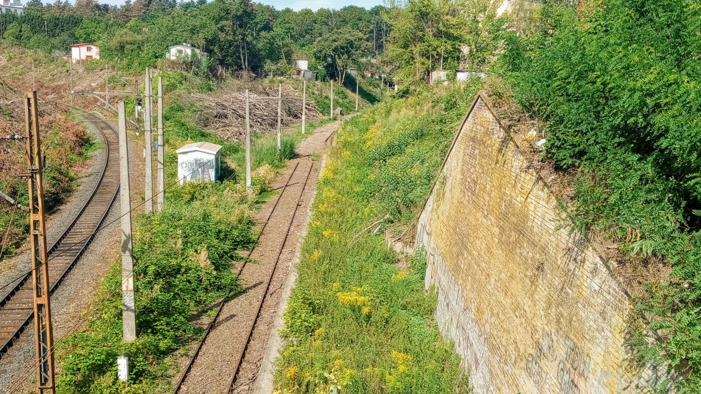 Wycinka drzew na stacji Szczecin Pomorzany