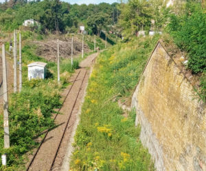Wycinka drzew na stacji Szczecin Pomorzany