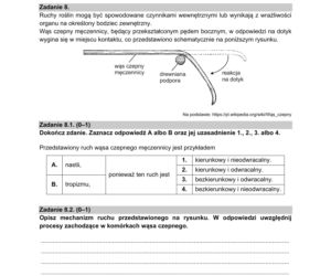 Matura 2021: Biologia. Arkusze CKE z biologii znajdziesz tutaj [Matura 12.05.2021]