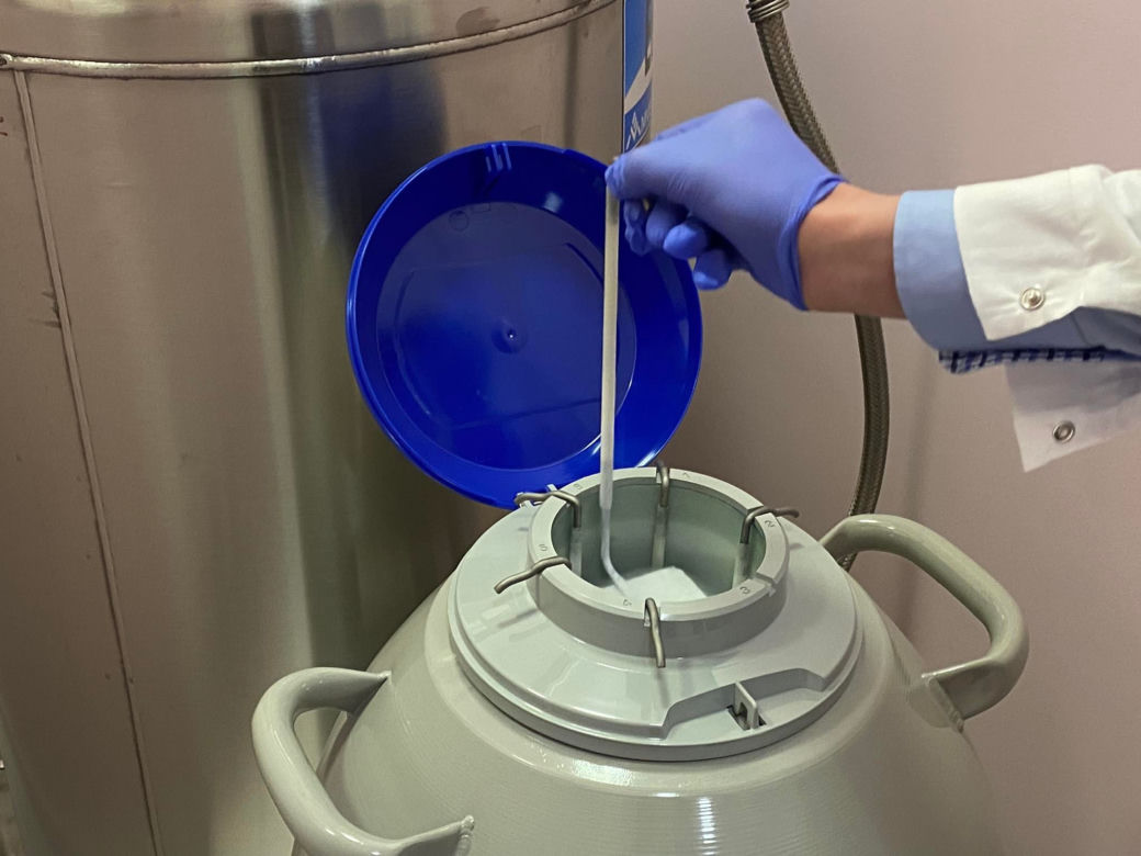 LabFarm pracuje nad hodowlą pierwszego polskiego mięsa komórkowego
