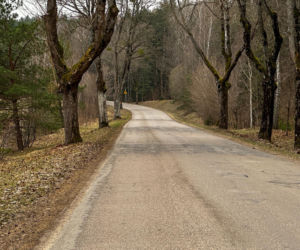Rolnik ciągnął psa na sznurku za skuterem Mieszkańcy Grabowa wstrząśnięci!