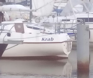 Tak nazywają się jachty i łodzie w gdyńskiej marinie