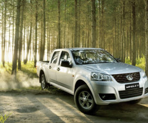 Great Wall Steed