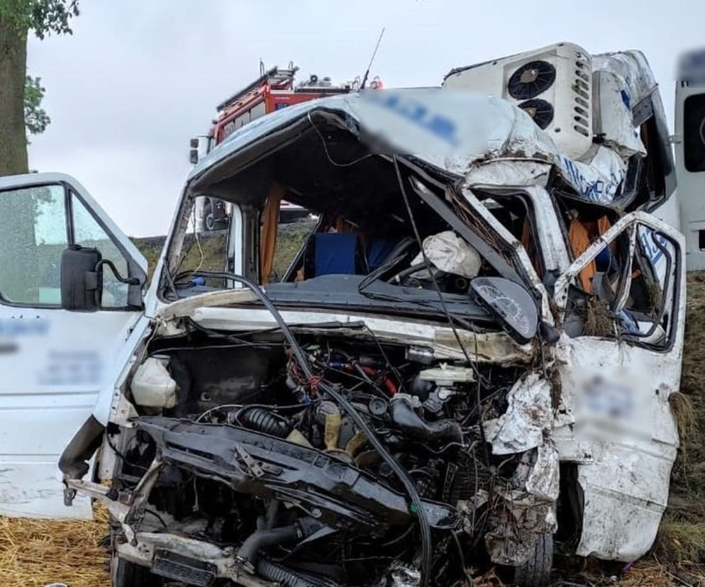 Lechówka: Dwie osoby zginęły, wielu rannych. Makabryczny wypadek