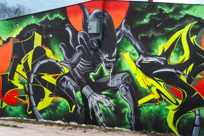 Przy ul. Mieszka I w Siedlcach można podziwiać całą galerię murali i graffiti