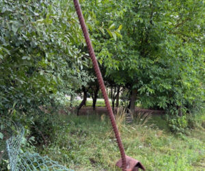 Dramat podczas zrywania wiśni. Kobieta nadziała się na metalowy pręt