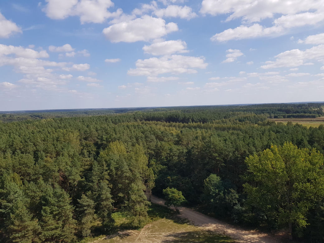 Wieża widokowa w Uhowie. To najwyższa wieża na Podlasiu [ZDJĘCIA]