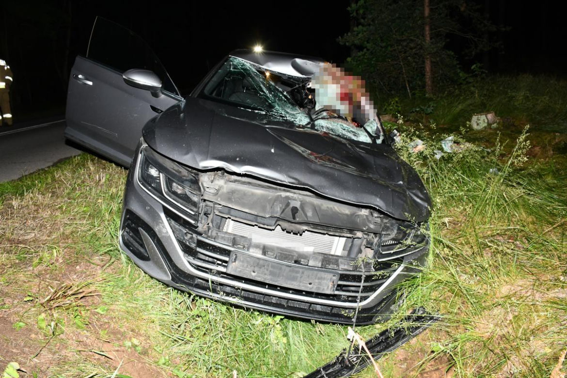 Kilkusetkilogramowy zwierz wbił się w auto 44-letniego Warszawiaka