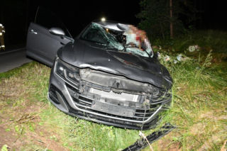 Kilkusetkilogramowy zwierz wbił się w auto 44-letniego Warszawiaka