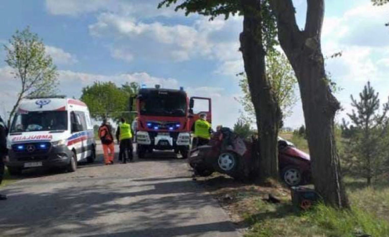 Bliźniacy zginęli na drzewie