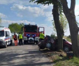 Bliźniacy zginęli na drzewie