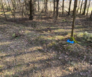 Pojechaliśmy na miejsce śmierci Magdaleny Majtyki. Nawet w dzień przyprawia o dreszcze