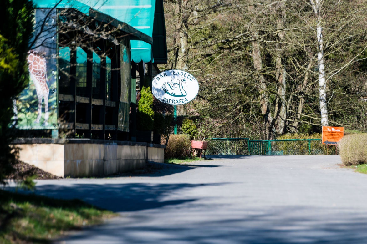 Koronawirus w Trójmieście. ZOO zamknięte na czas kwarantanny