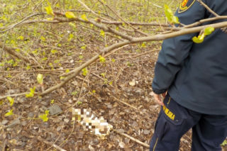 Ludzkie szczątki przy spalarni odpadów w Warszawie? Strażnicy miejscy dokonali makabrycznego odkrycia