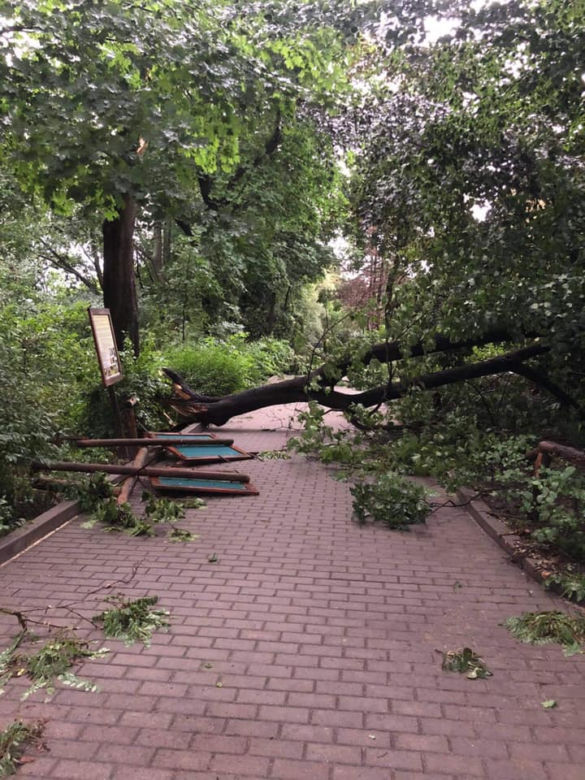 Nawałnica zniszczyła Zoo Płock! Placówka zamknięta! Co ze zwierzętami? [ZDJĘCIA]