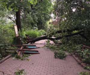 Nawałnica zniszczyła Zoo Płock! Placówka zamknięta! Co ze zwierzętami? [ZDJĘCIA]
