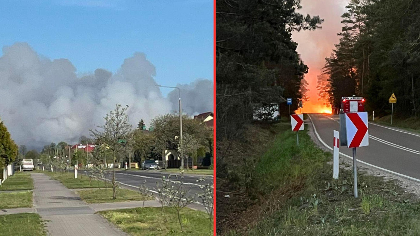 Ogromny pożar na Lubelszczyźnie! Płonie Puszcza Solska. Setki strażaków w akcji