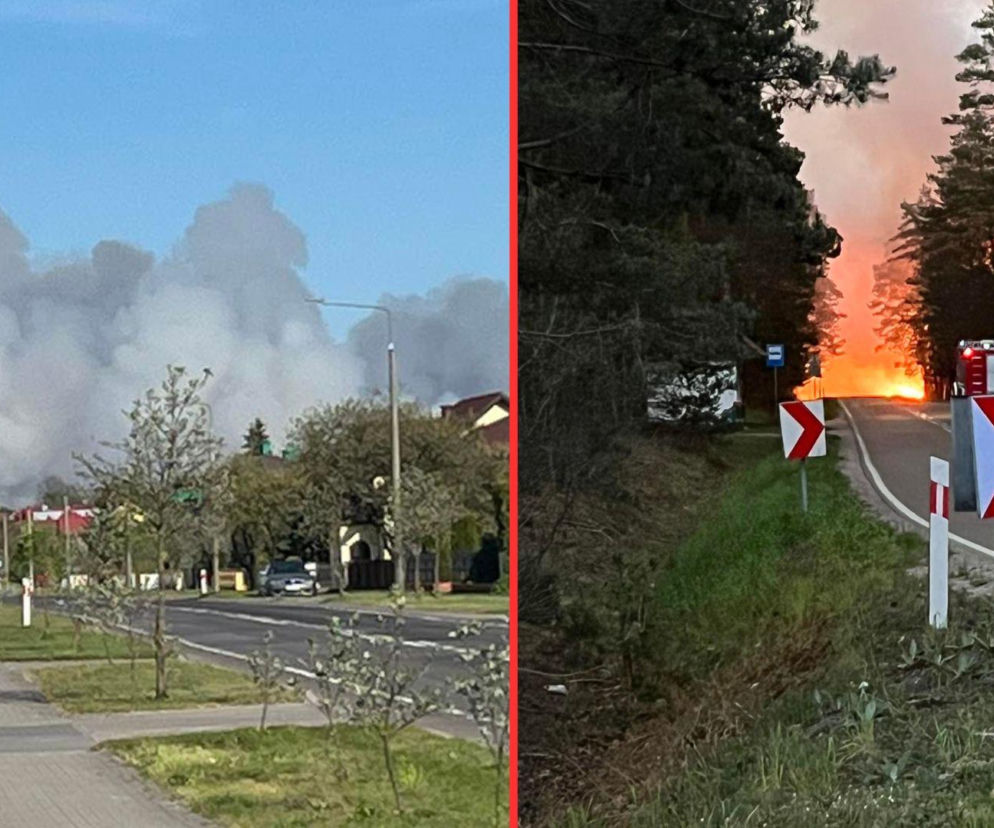 Potężny pożar na Lubelszczyźnie. Setki strażaków w akcji