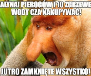 Zakaz handlu w niedziele - memy
