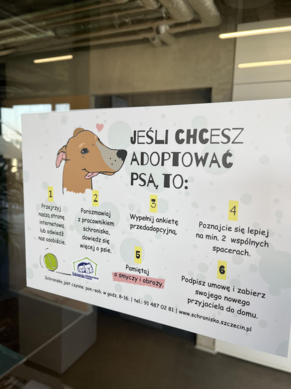 Schronisko dla Bezdomnych Zwierząt w Szczecinie
