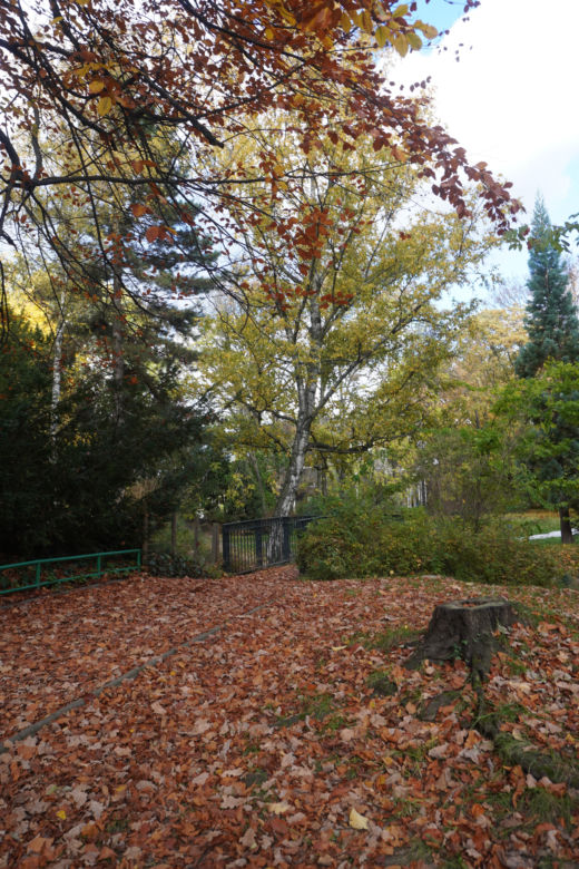 Park Wilsona jesienią
