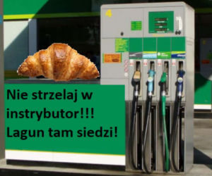 Krakowski lagun to prawdziwy FENOMEN! [MEMY]
