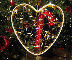 Choinka przed urzędem miasta w Szczecinie