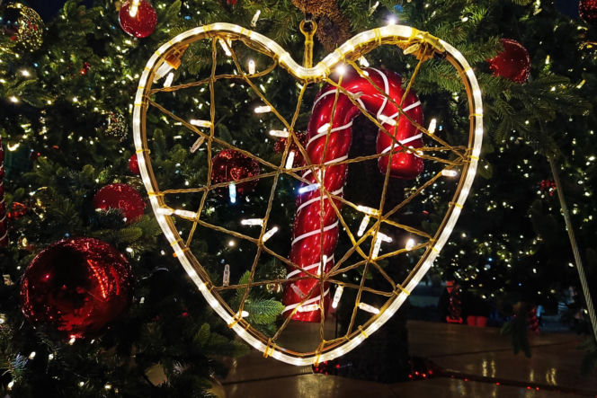 Choinka przed urzędem miasta w Szczecinie