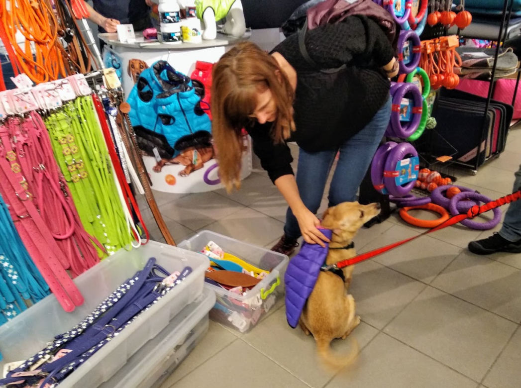 Miłośnicy czworonogów opanowali galerię BWA! Za nami pierwsze PupiLove Targi w Katowicach [ZDJĘCIA, AUDIO]