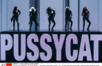 The Pussycat Dolls