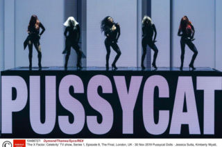 The Pussycat Dolls