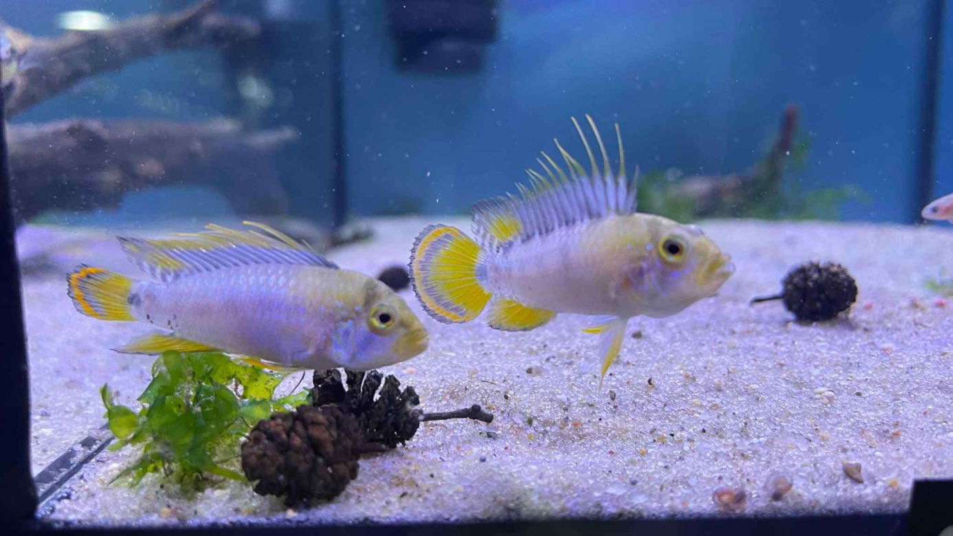 Rozmawiamy z Tomaszem Wiśniewskim, założycielem Aqua Dreams Bydgoszcz