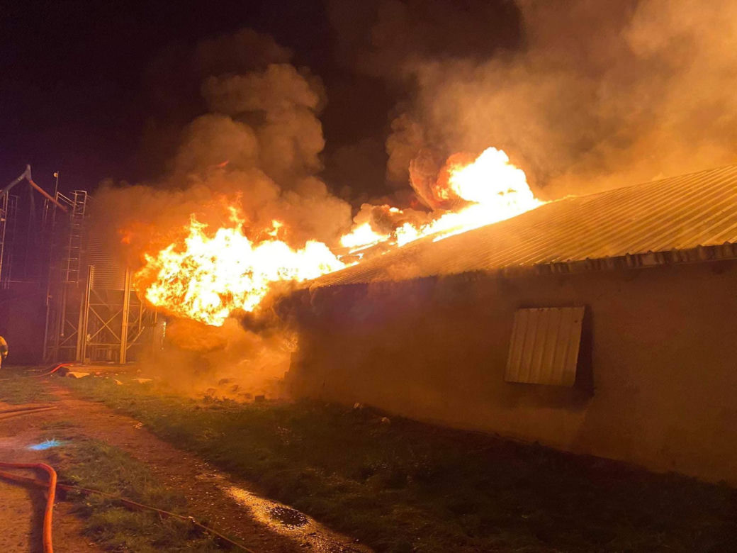 Gigantyczny pożar kurnika. Jęzory ognia strawiły cały budynek. Spłonęło 25 tysięcy młodych pisklaków!