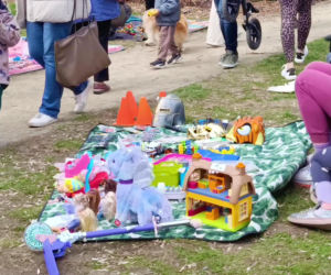 Pchli targ na Pogodnie