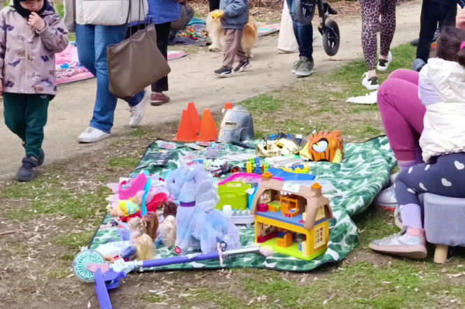 Pchli targ na Pogodnie