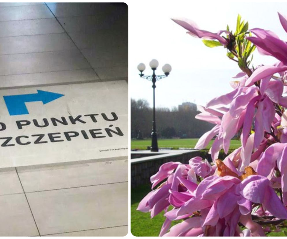 Przy Jasnych Błoniach rusza mobilny punkt szczepień