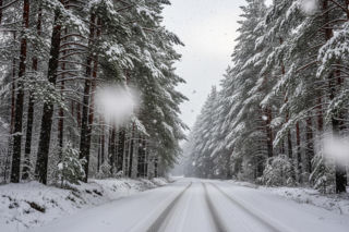 Wielkie mrozy wróciły do Polski! Najgorzej na północy i wschodzie