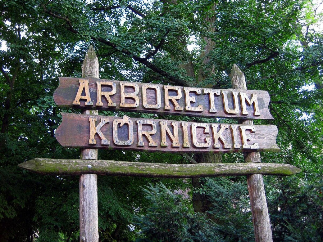 Lekcje w terenie - historyczne i naukowe atrakcje dla ucznia, które uczą i bawią