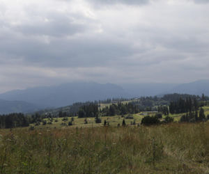 To jedna z najciekawszych wsi w Małopolsce. Jest ozdobą Podhala, a jej mieszkańcy słyną z pobożności