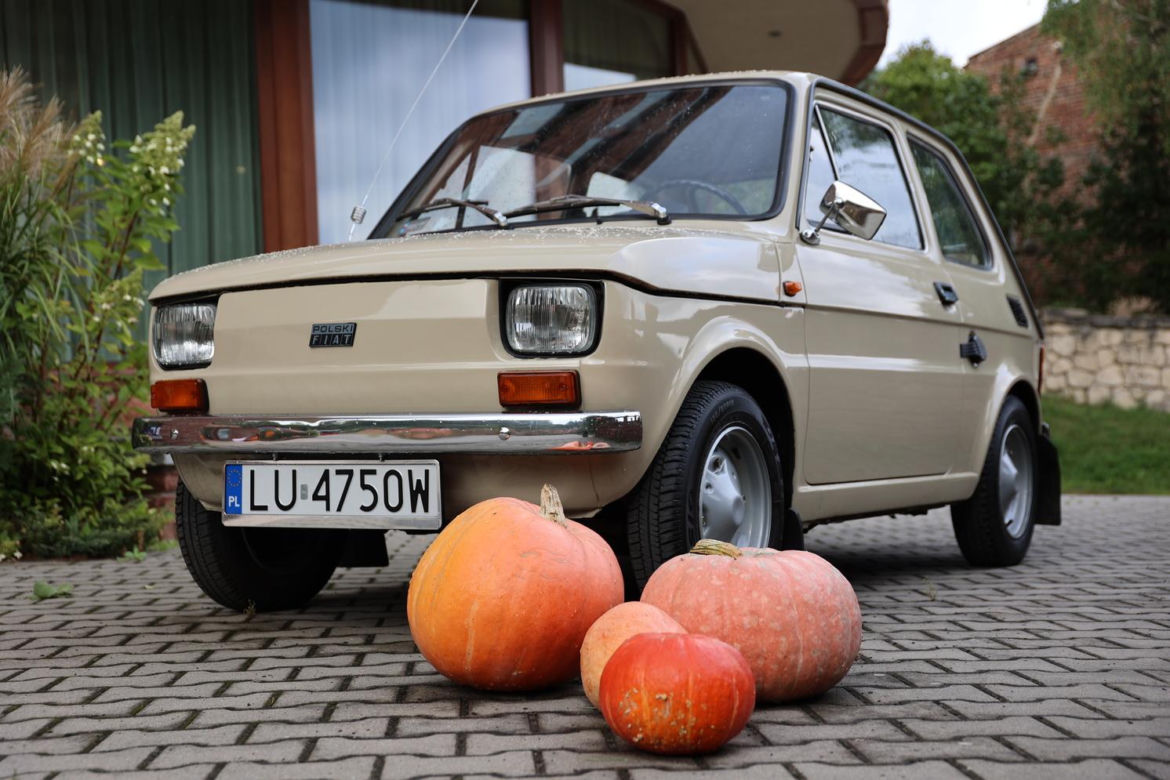 Farma dyń 2023 w Lublinie. Tak było w weekend otwarcia!