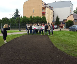Ponad 2 tysiące żonkili posadzono na Polu Nadziei w Lesznie