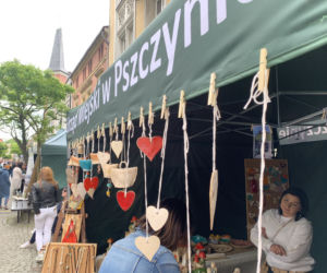 Daisy Days w Pszczynie przyciągnęły tłumy turystów