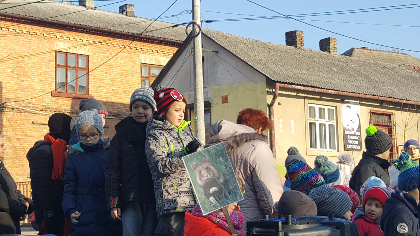 Pomnik chomika europejskiego w Jaworznie 