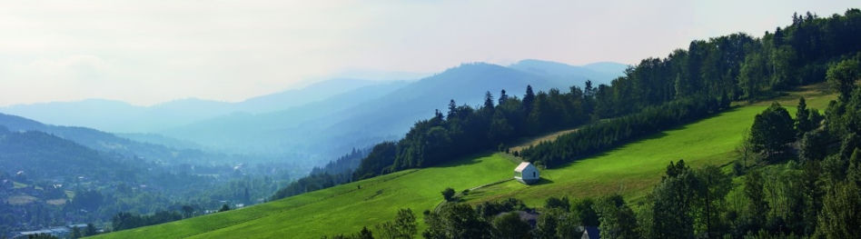 Arka, projekt Koniecznego