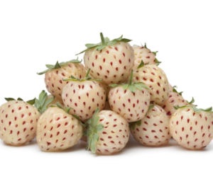 Pineberry