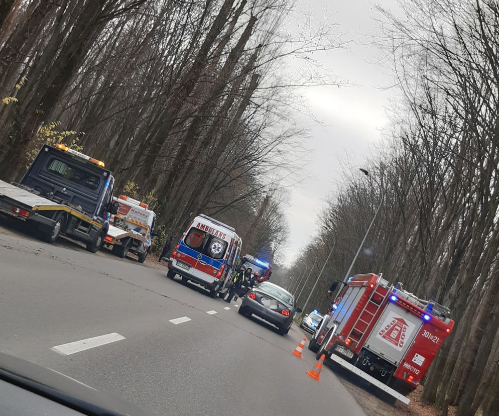 Białystok. Opel uderzył w drzewo. Kierowca trafił do szpitala