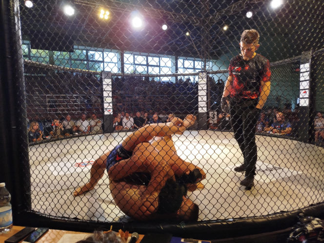 Fotorelacja z Gali Sportów Walki Taurus Fight Arena 2026 w Siedlcach
