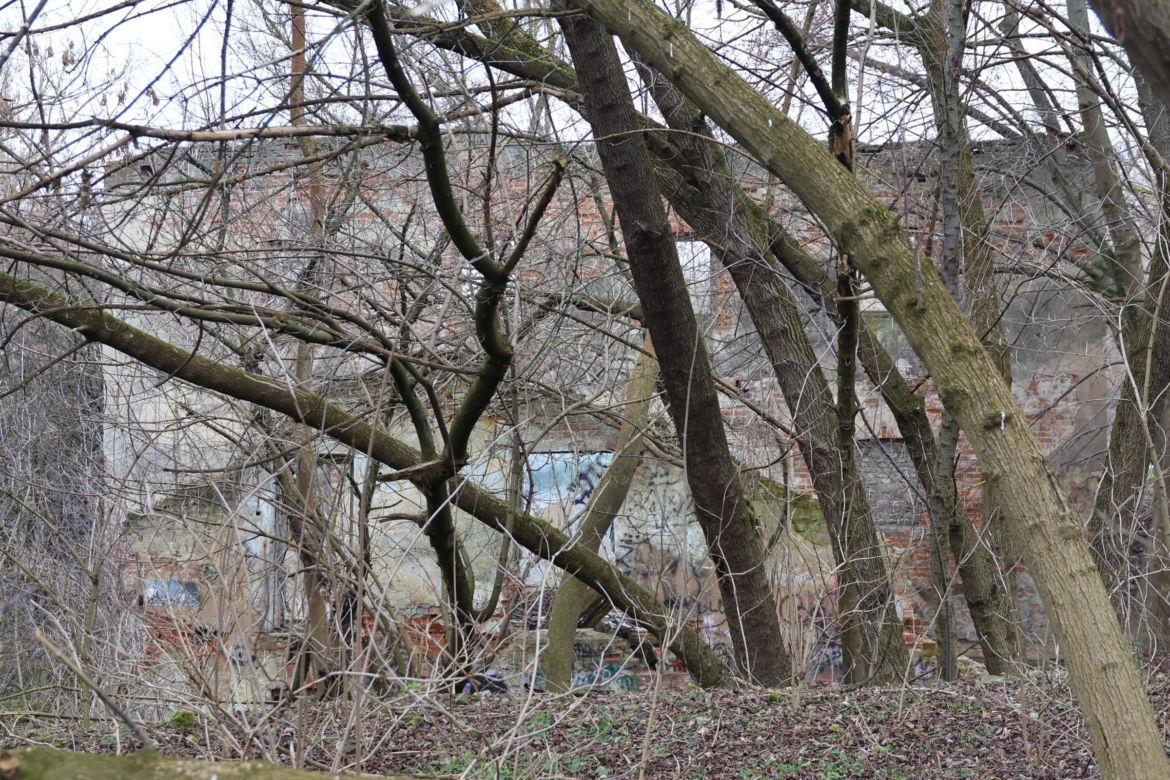Spacer doliną Bystrzycy na lubelskim Wrotkowie