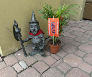 Darmowe palmy na ulicach Suwałk! Niezwykła akcja Radia ESKA