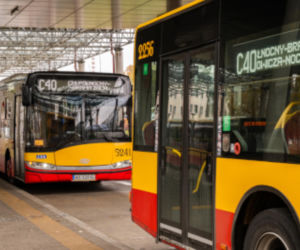 Linie autobusowe w Warszawie z nowymi oznaczeniami. ZTM wprowadza system kolorów